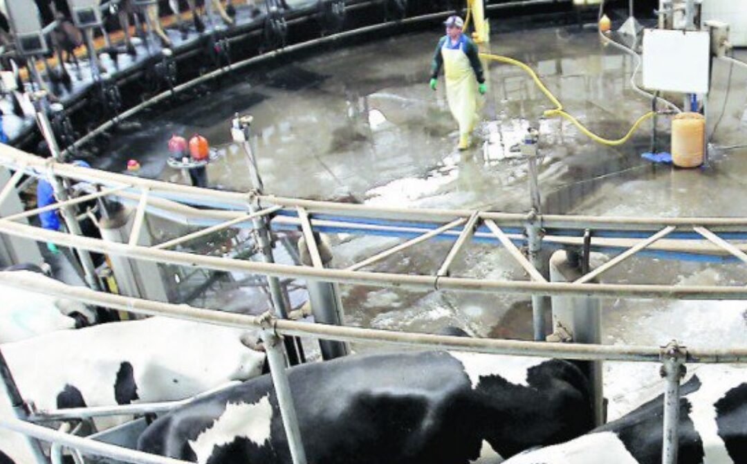 Chile. Productores plantean crear una “mesa del agua” para asegurar su acceso a todos.