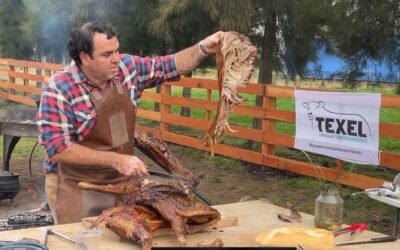 ¿Hacia un nuevo paradigma de la carne ovina?
