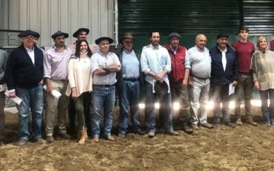 Agilidad y buenos precios en el comienzo de la zafra de toros, con el martillo de Mauricio Cabrera.