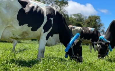 Chile realiza estudios y determina que en la zona sur hay predios agropecuarios que son carbono neutral.