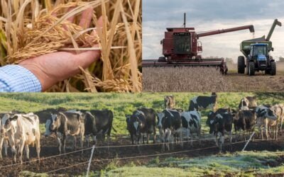 El 28/09 será el Congreso Binacional Agrícola Ganadero en Río Branco.