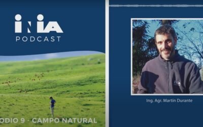 INIA Podcast: “Aportes claves de la investigación en el manejo del campo natural”.