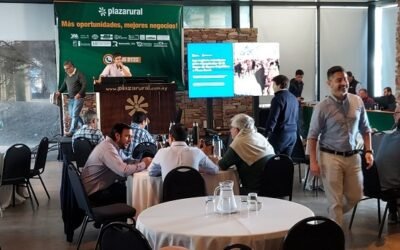 Plaza Rural terminó el remate 253 con el 92% de la oferta colocada.