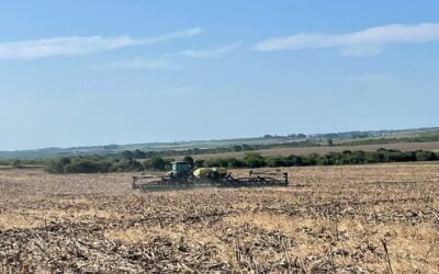 Llegaron las lluvias, pero sigue faltando agua.