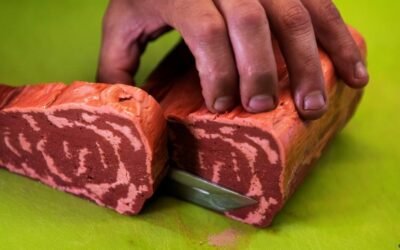 La tecnología sin límites: empresa israelí crea producto vegetal similar a la carne con impresora 3D.