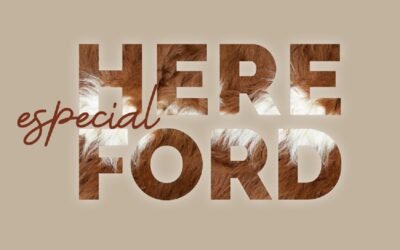 Hoy, desde las 15.00 horas, Valdez remata el Especial Hereford.