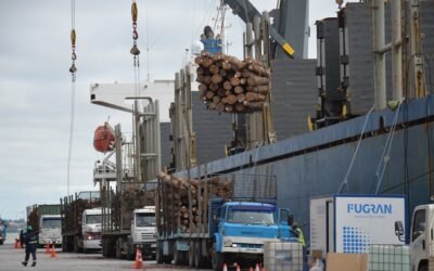 En setiembre las exportaciones cayeron 2,2%, primer retroceso desde noviembre de 2020.