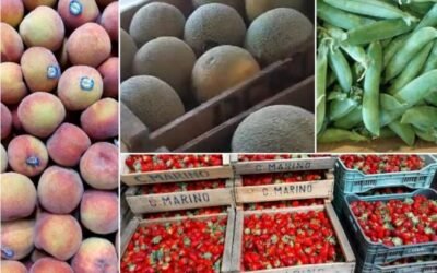 La zafra de primavera se instala a nivel mayorista.