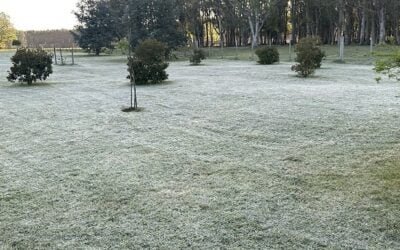Alerta: a la falta de precipitaciones se suman las heladas tardías.