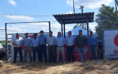 Cabaña Macedo lució sus Brangus.