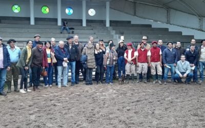 Los Angus de San Alberto tuvieron dispersión total, con Silveira Negocios Rurales.