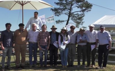 En remate de mucha agilidad, los Toros de Calidad Angus promediaron US$ 3.019,50.