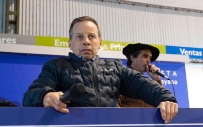 Lo que se viene. Valdez y Cía. anunció su agenda de próximos remates.