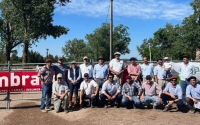 Angus Al Natural, con Zambrano, tuvo un máximo de US$ 4.560.