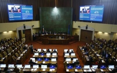 Comisión de Agricultura de Chile: Solo se llaman “carne” los productos de origen animal.