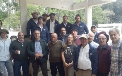 Escritorio Aramburú vendió los toros Shorthorn a US$ 6.240 valor máximo.