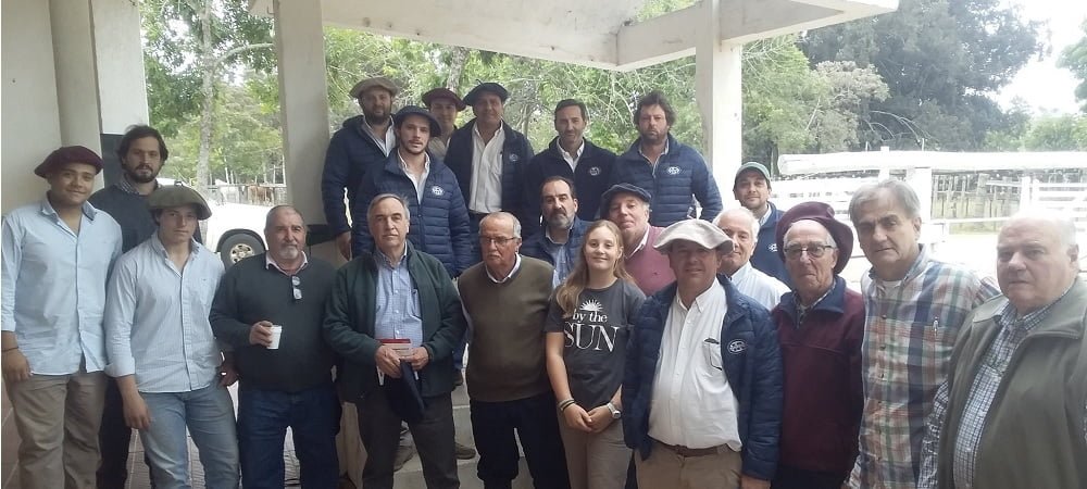 Escritorio Aramburú vendió los toros Shorthorn a US$ 6.240 valor máximo.