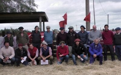 Con Juan Carlos Martínez y Zambrano & Cía., Toros Garantidos promediaron US$ 2.508.