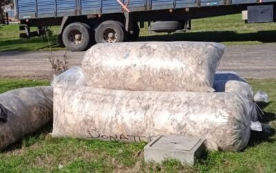 Central Lanera no inscribirá lotes que superen las 21 micras.