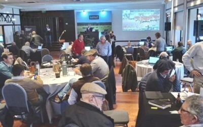 Lote 21 comenzó vendiendo el 90,4% de la oferta.