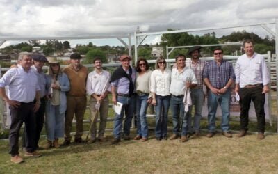 Toros de Valle Chico y El Toril promediaron US$ 2.967.