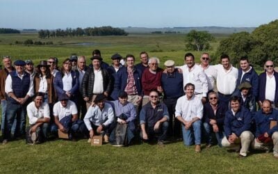 Berachí, desde la estancia y con Valdez, dispersó toda su genética Braford y Brangus.