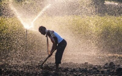 La industria agroquímica de la India se prepara para un mayor éxito en el auge económico.