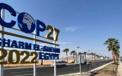 “Los agricultores son los principales ejecutores del concepto de la agricultura como solución al cambio climático”