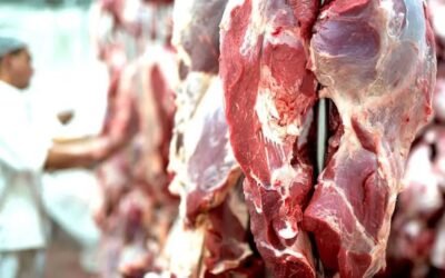 Compra de carne de EE.UU. a Argentina pasaría de 200.000 a 800.000 toneladas, con arancel cero.