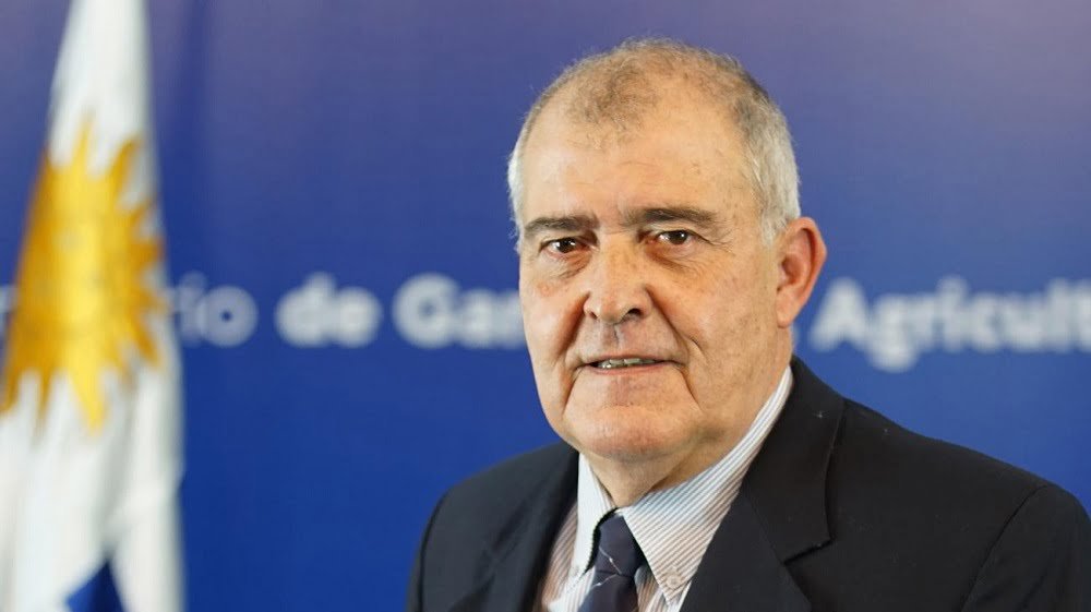 Brucelosis. El MGAP está estudiando programas y viendo qué herramientas agregar