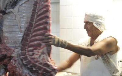 Presidente de federación frigorífica argentina pide reformas estructurales para mejorar la competitividad.