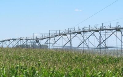 Beneficios por inversiones en mejorar el acceso al agua en el agro (Imeba).