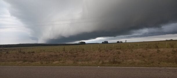 ¿Se viene un fuerte El Niño? Los modelos climáticos ya lo anticipan y el agro debe prepararse