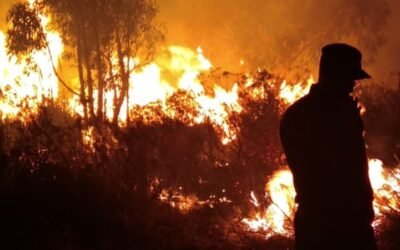 El 1° de noviembre comenzó a regir la prohibición de hacer fuego al aire libre.