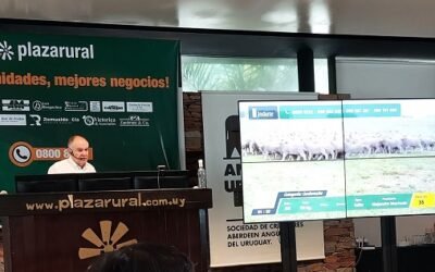 Plaza Rural rematará mañana 8.995 vacunos.