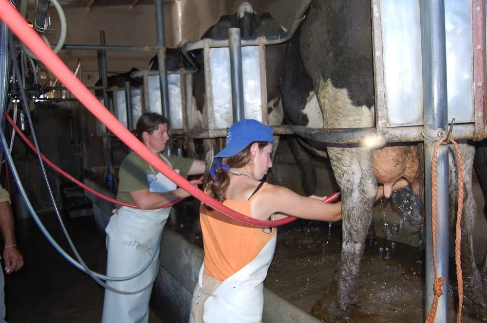 1ª edición de “Mujeres en la producción. Encuentro Conaprole”.