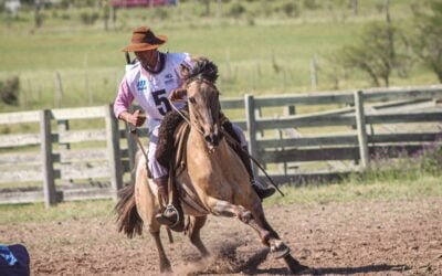 Concurso de Domadores 2022 tiene a su ganador destacado.