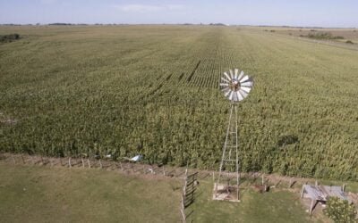 Expoactiva. Recursos Naturales del MGAP presentó charla sobre “Suelos: buenas prácticas agrícolas para su cuidado” (video).