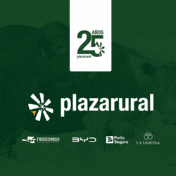 Plaza Rural
