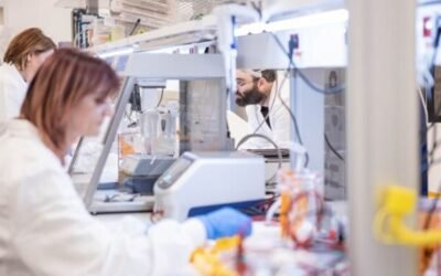 Estudio de la Universidad Tecnológica de Chalmers (Suecia) concluyó que a la “carne vegetal” le faltan nutrientes esenciales.