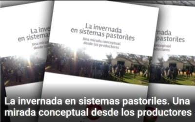 La invernada en sistemas pastoriles. Análisis del Plan Agropecuario.