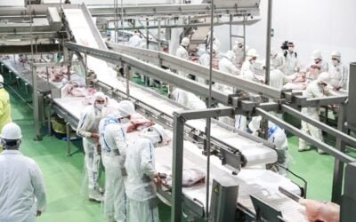 Paraguay. Cierra auditoria de Canadá con miras a la importación de carne paraguaya.