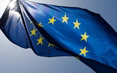 El Parlamento Europeo retrasa la ley antideforestación un año más.