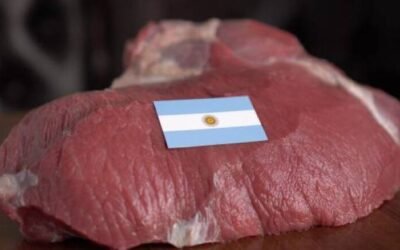Las exportaciones de carne argentina crecieron  un 10,8 % en lo que va de 2022 pero los precios no paran de caer desde mayo.