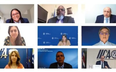 La conectividad rural plena es estratégica para el desarrollo.