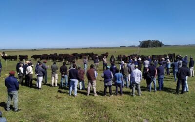 Aunque el año ganadero al 30 de junio próximo no será como el anterior, va a ser de normal a bueno, dijo Gonzalo Ducós de Fucrea.
