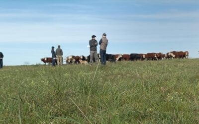 Disminuyó el área del campo natural, el Ing. Marcelo Pereira explicó por qué eso es preocupante.