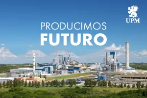 piezas graficas_PF_Pauta UPM_300x200-02 brou