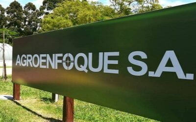 Imperdible. El viernes 6, Agroenfoque presenta actividad sobre pasturas y forrajes.