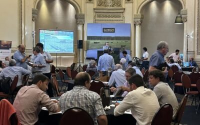 Lote 21 remató el 97,8% de la oferta.